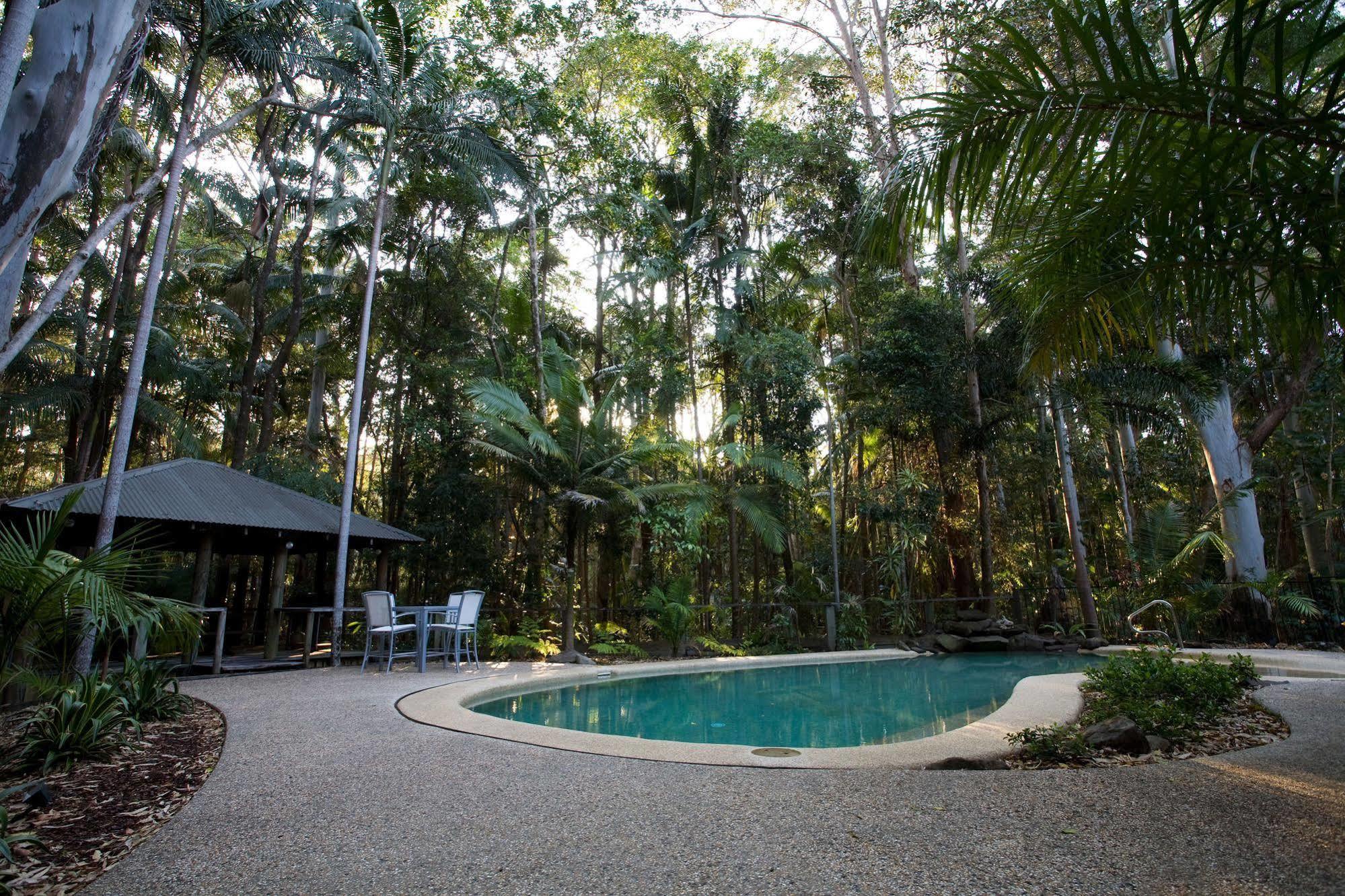 Amore On Buderim Rainforest Cabins Саншайн-Кост Экстерьер фото